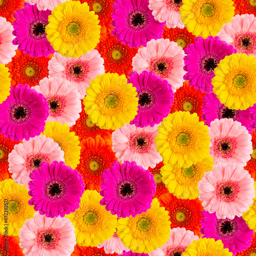 summer flowers seamless pattern. Gerbera macro pattern.