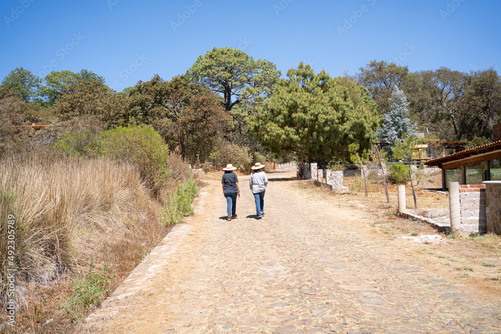 Fototapeta premium Dos mujeres caminan por un camino en el bosque de Tapalpa Jalisco México.