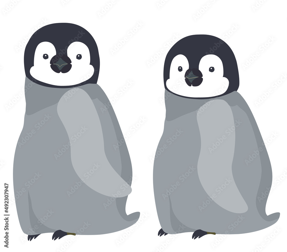 Fototapeta premium Two baby emperor penguins walking alongside each other.