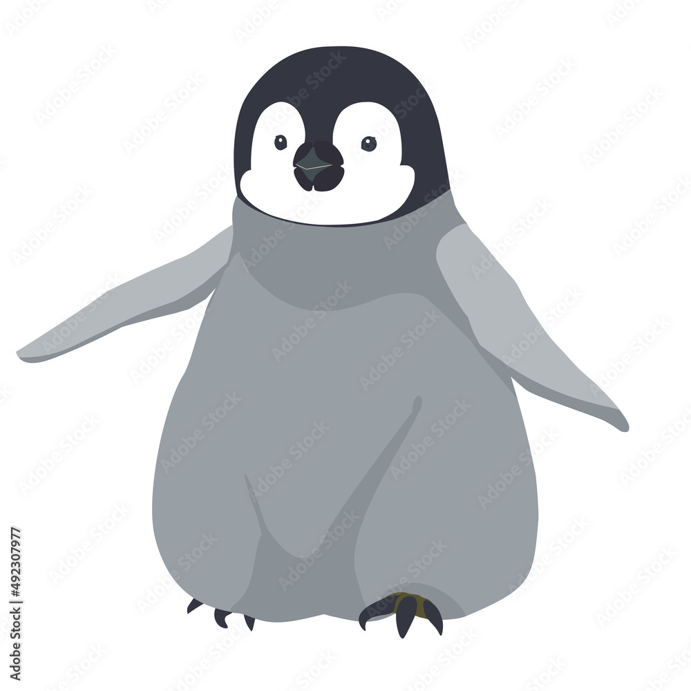 エンペラーペンギン コウテイペンギン ヒナ よちよち歩き エンペラーペンギン コウテイペンギン ヒナ よちよち歩き