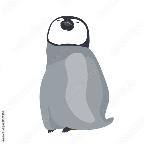 Baby emperor penguin facing up and closing both eyes.