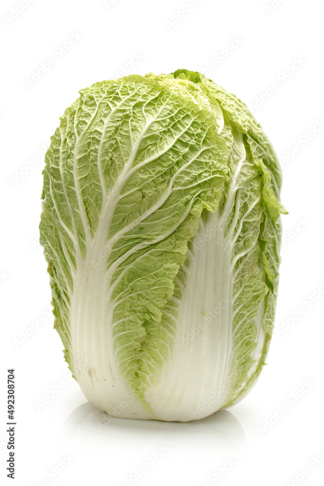 Fototapeta premium cabbage isolated on white background