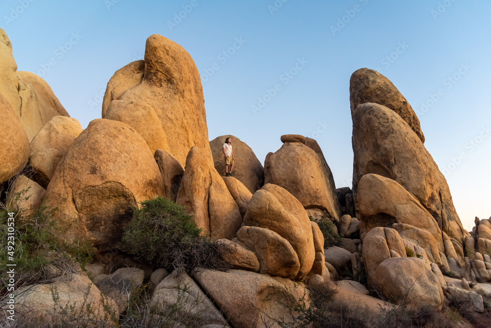 Desert landscape in Joshua Tree National Park Desert landscape in Joshua Tree National Park