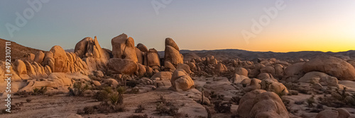 Joshua Tree National Park desert landscape in panoramic shot view.  photo
