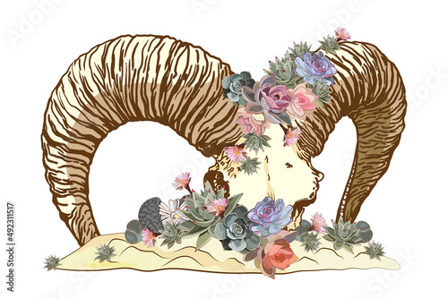 Ram skull in flowers and succulents. Vector illustration.