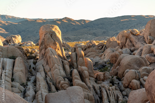 Incredible scenery in California desert during sunset with large rock boulders and formations covering the dry landscape. 