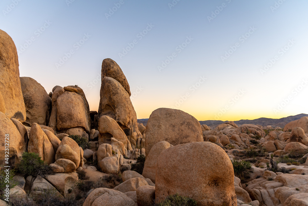 Desert landscape in Joshua Tree National Park at sunset Desert landscape in Joshua Tree National Park at sunset