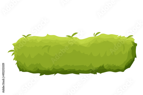 Garden, forest bush stylized in cartoon style isolated on white background. Decoration, design element, ui game asset.