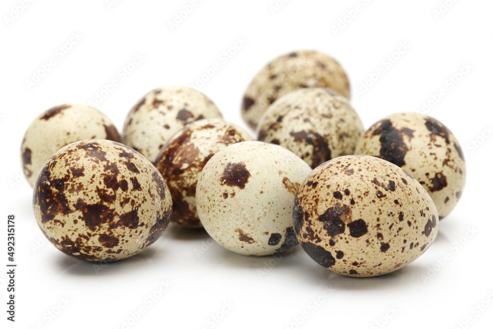 quail eggs on white background quail eggs on white background