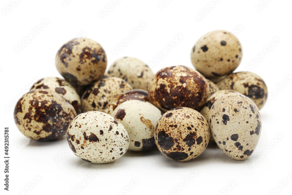quail eggs isolated on white