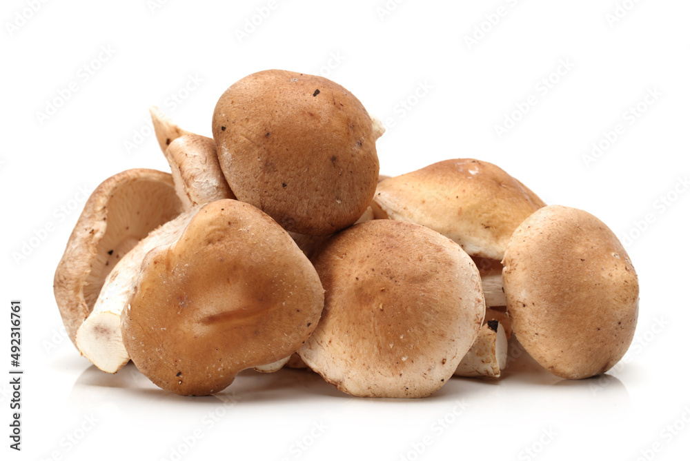 Shiitake mushroom on the White background Shiitake mushroom on the White background