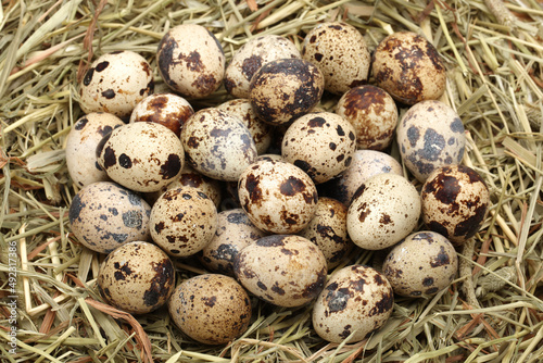 quail eggs in a basket