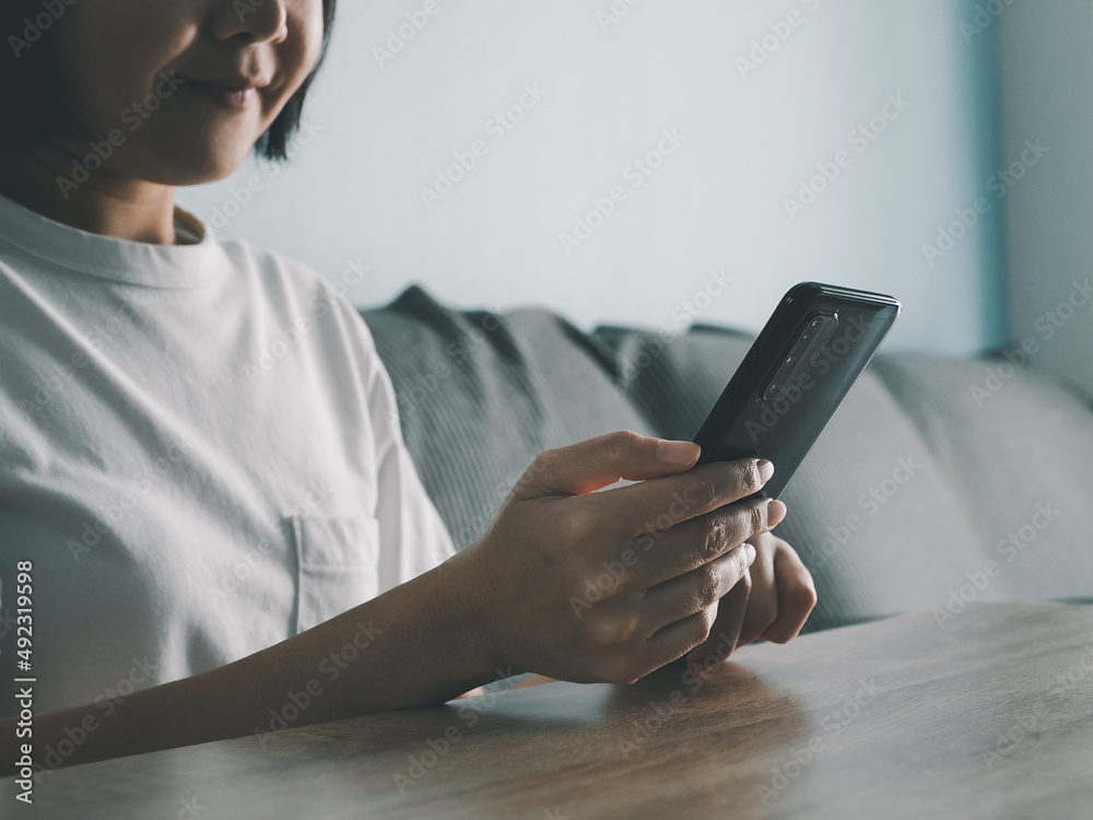 A happy smiling woman using a smartphone while sitting on the sofa at home. internet browsing and use social networks meeting from home A happy smiling woman using a smartphone while sitting on the sofa at home. internet browsing and use social networks meeting from home