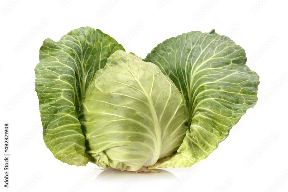 cabbage isolated on white background cabbage isolated on white background