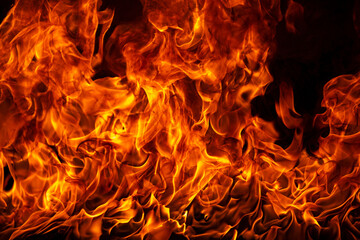 Fire flames on black background. Fire burn flame isolated, abstract texture. Flaming effect with burning fire.