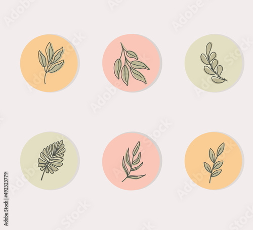 Wall decoration vector set. art image of abstract shapes and plant leaves. Abstract Plant Art design for print, cover, wallpaper, Minimal and natural wall art. Vector illustration