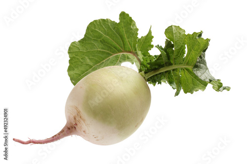 fresh radish isolated on white background photo