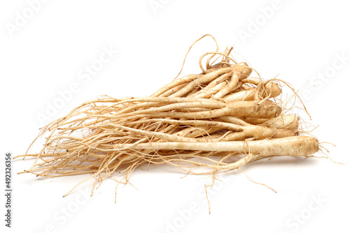  ginseng isolated on white background photo