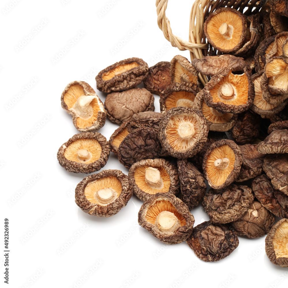 Dry Mushrooms isolated on white background. Selective focus Dry Mushrooms isolated on white background. Selective focus