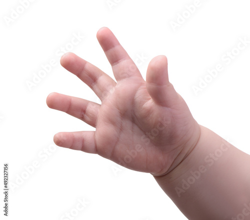 Small baby hand isolated
