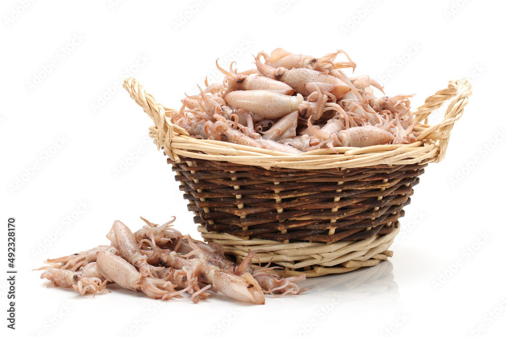 Small Freshly Steamed Squids On White background