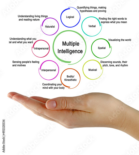 Fotografiet Eight Types of Multiple Intelligence