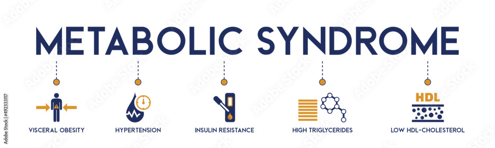 Symptoms of Metabolic Syndrome banner web icon vector illustration ...