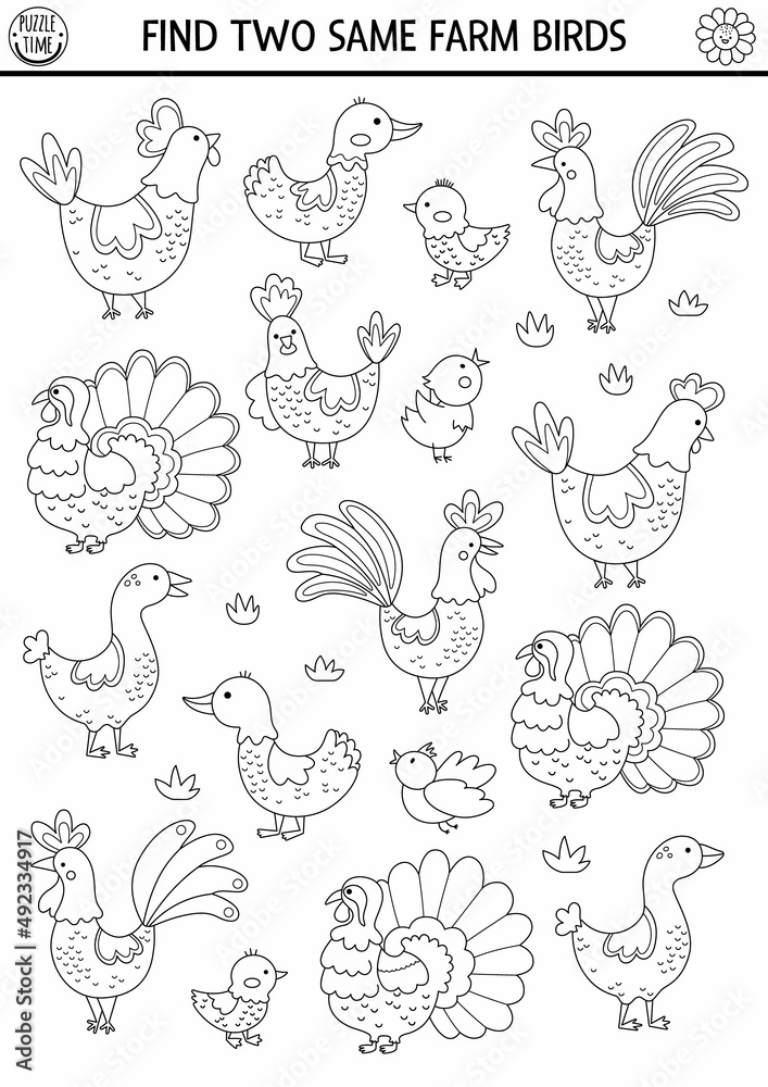 Find two same farm birds. On the farm black and white matching activity for children. Rural village coloring page for kids for attention skills. Simple printable line game with hen, rooster, goose.