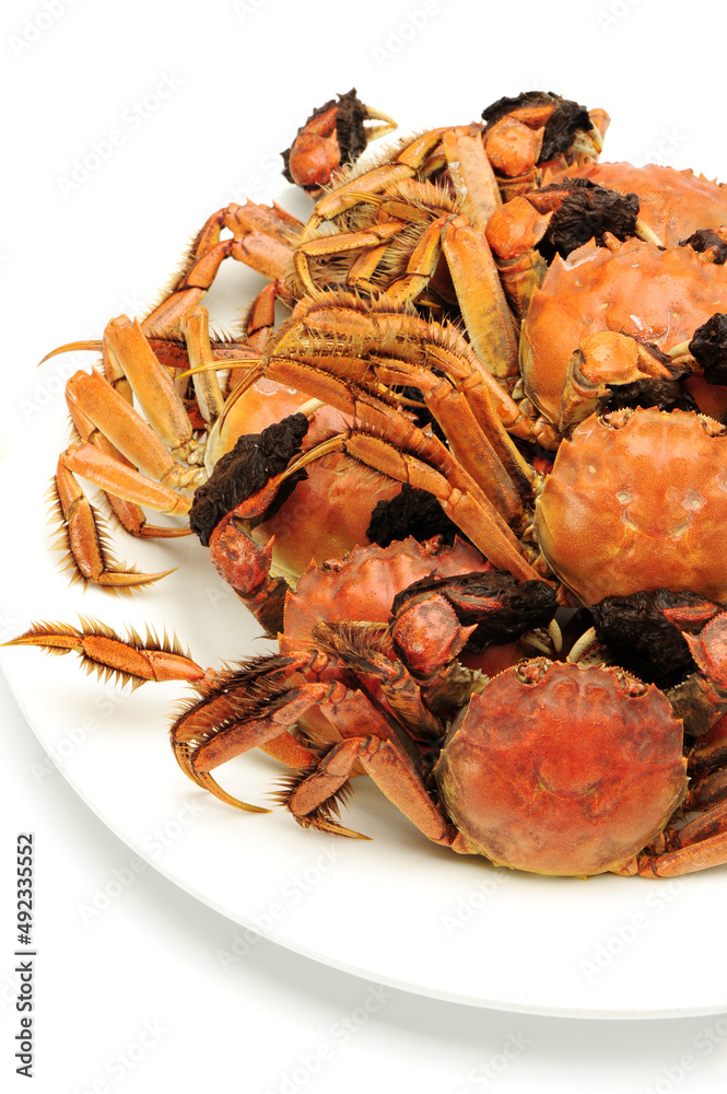 Cooked river crab isolated in white background Cooked river crab isolated in white background