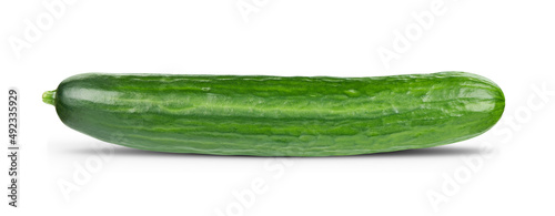 Fresh organic cucumber Isolated on white background photo