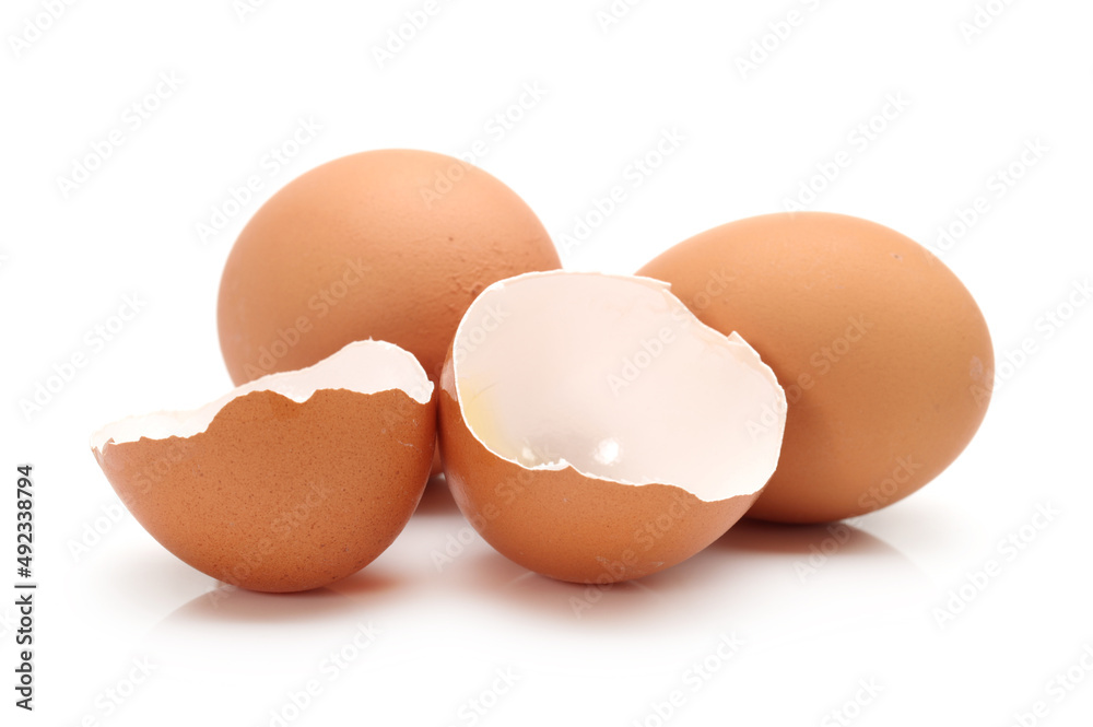 Egg collection isolated on white background Egg collection isolated on white background