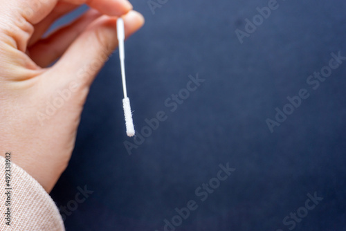 Cotton stick for swab test in hand on dark grey background