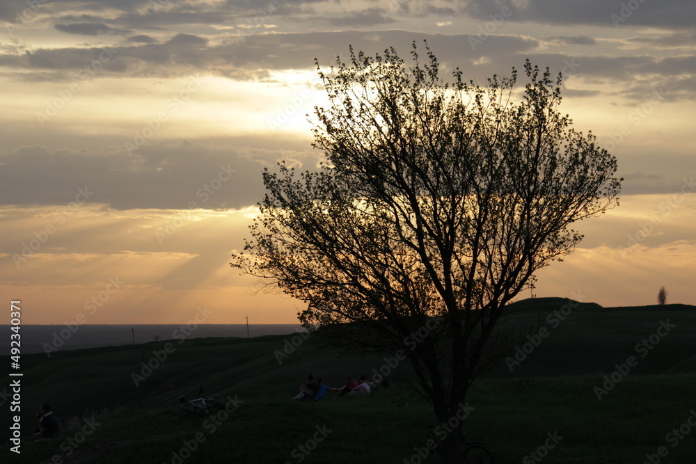 a beautiful red sunset and there is a tree a beautiful red sunset and there is a tree