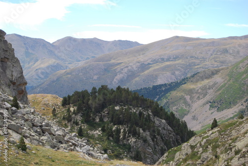 valle de montañas con una zona de árboles en medio