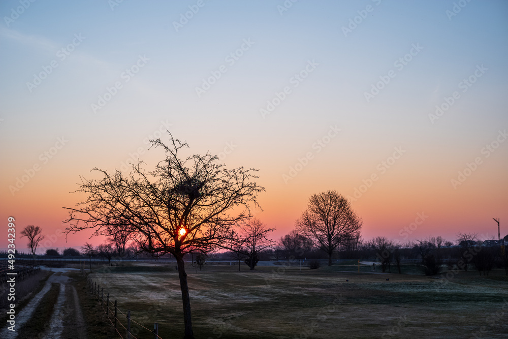 sunrise in early spring