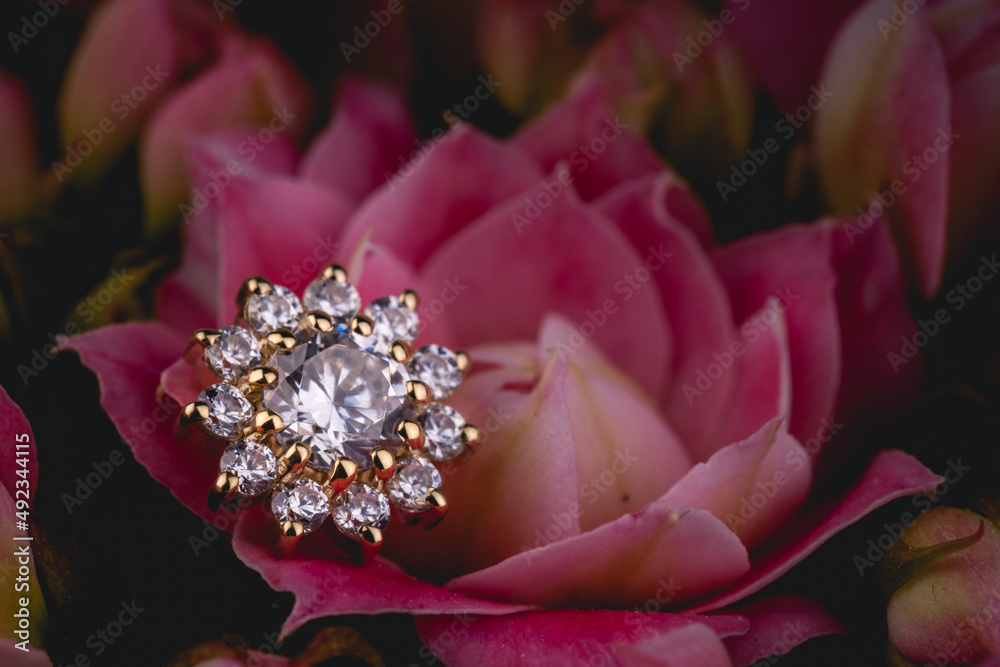 Beautiful piercing jewelry. Macro shot. Selective focus. Beautiful piercing jewelry. Macro shot. Selective focus.