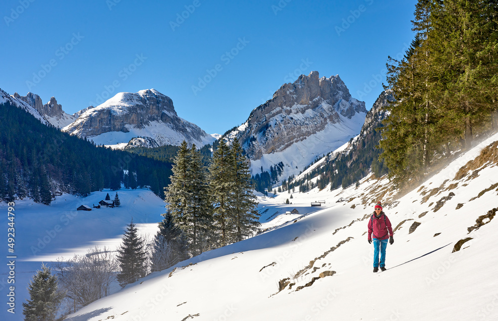 woman hiking in the snowy mountain landscape of the Alpstein mountain range near Appenzell, Switzerland