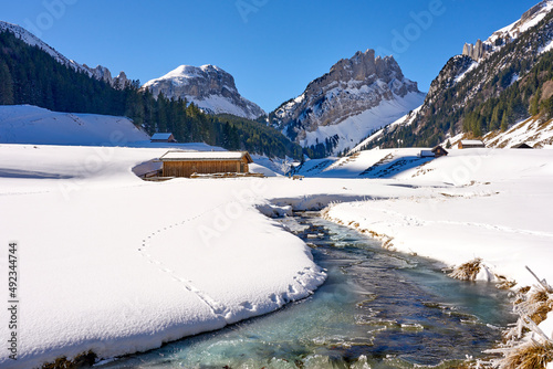 snowy winter landscape in t...