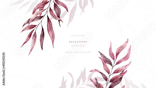 Watercolor red eucalyptus background template vector design