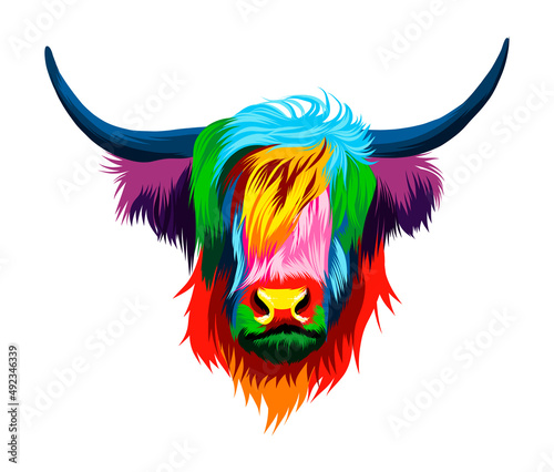 Abstract highland cow head portrait, scottish highland cow from multicolored paints. Colored drawing. Vector illustration of paints
