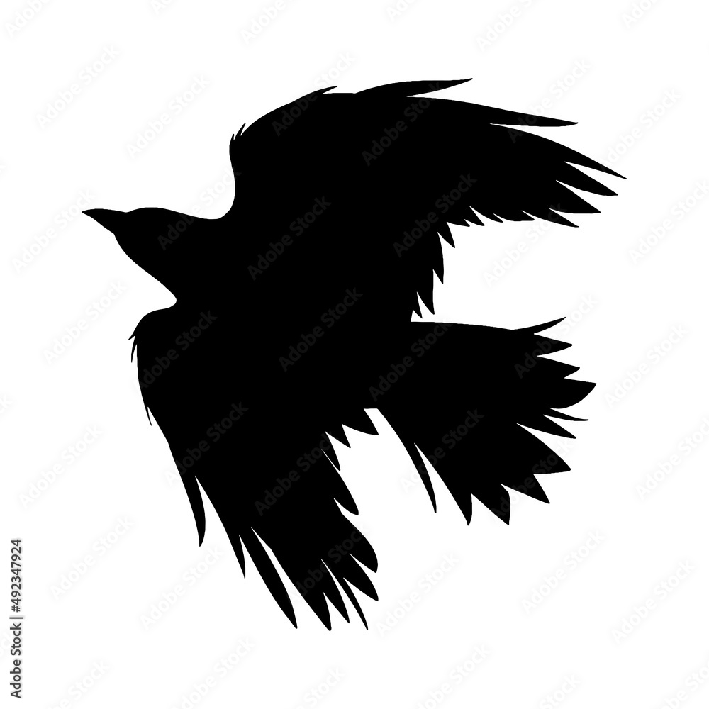 crow silhouette crow silhouette