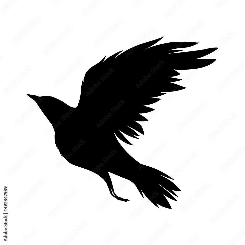 crow silhouette crow silhouette