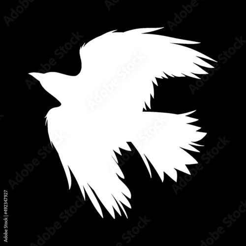 crow silhouette