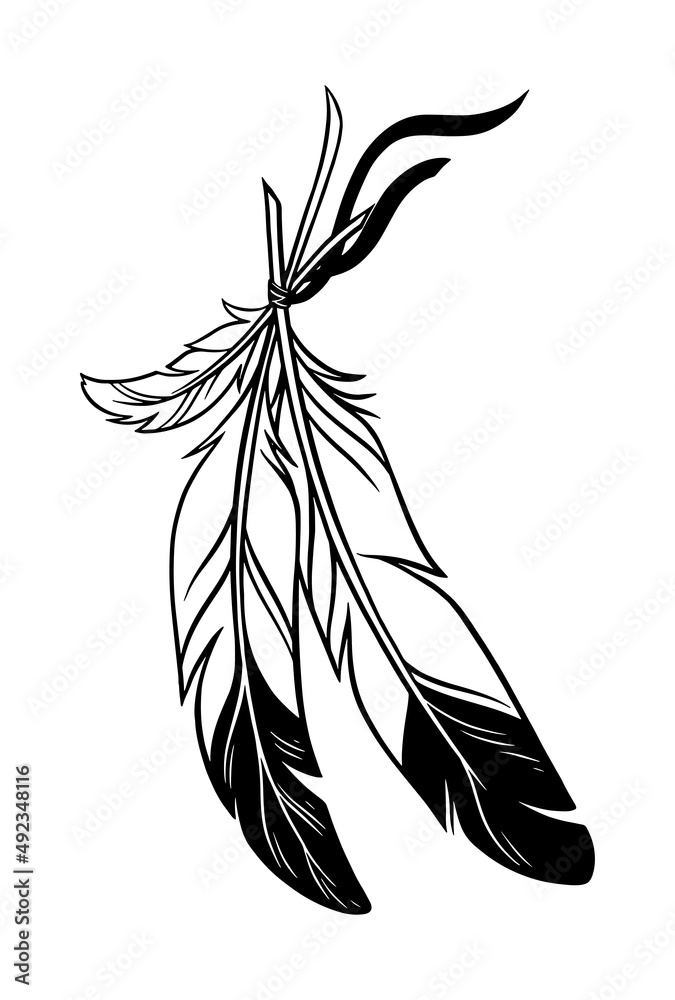 beautiful feathers