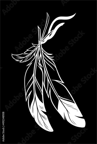 beautiful feathers