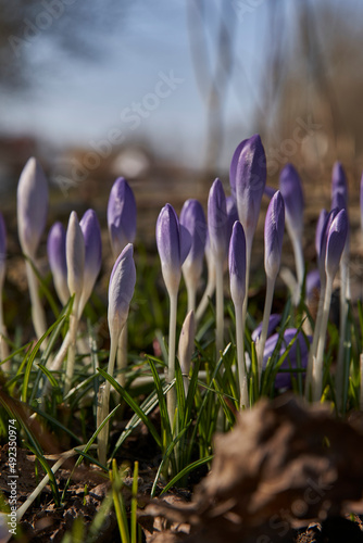 late winter 21/22
