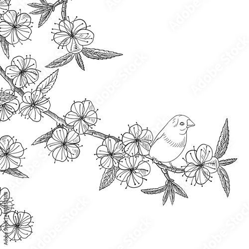 vector drawing natural background with bird and flowering plum tree branches, hand drawn illustration for cover design or print