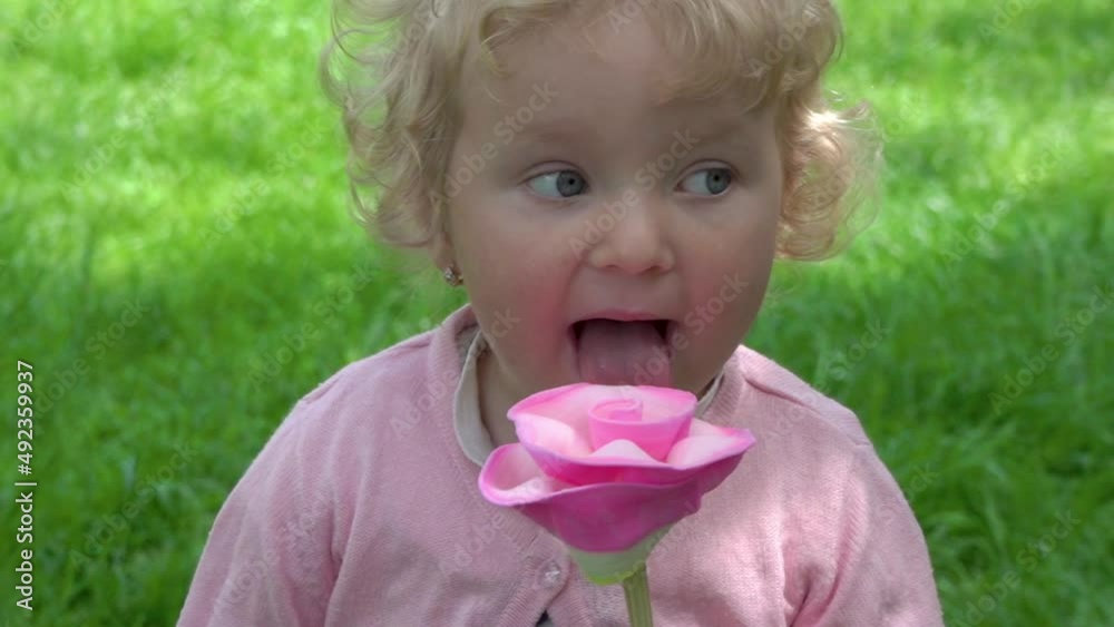 little girl licks candy flower,beautiful girl eats candy in the shape of a flower on a stick little girl licks candy flower,beautiful girl eats candy in the shape of a flower on a stick