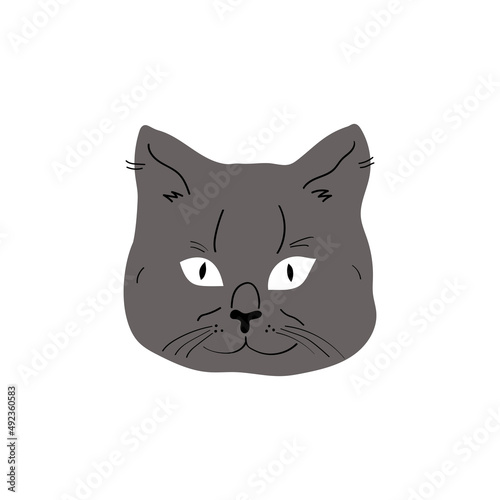 Cute and funny portraits of gray cat. Cartoon cat or kitten characters design with flat color. Set of purebred pet isolated on white background. Home pet, animal care concept. Vector illustration