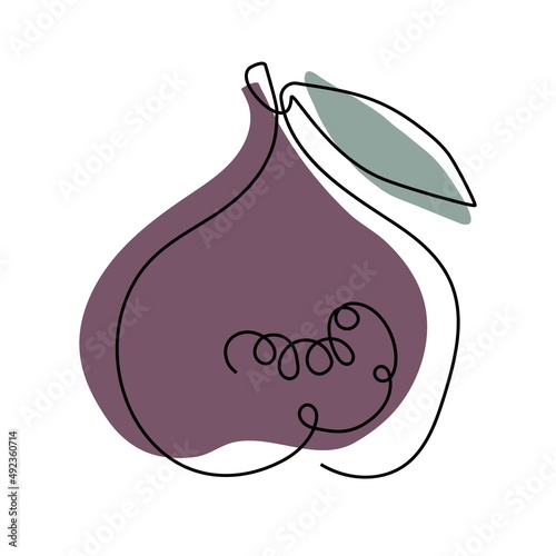 Abstract fig fruit with leaves, Continuous one line drawing isolated on white background. Fashionable trend Vector illustration Food template for menu, postcards, nursery design.
